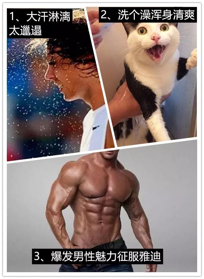 男s收m见面指南 男s收m见面指南