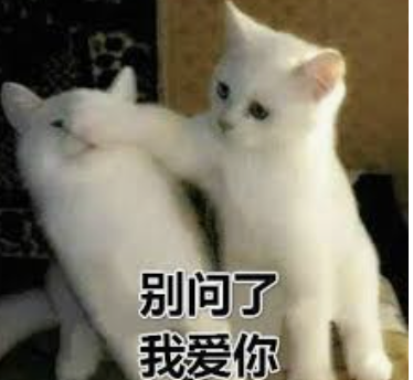 字母圈“dom/sub字母圈DDLG 字母圈“dom/sub字母圈DDLG