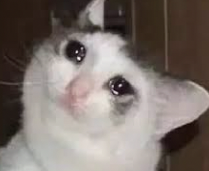 字母圈“dom/sub字母圈DDLG 字母圈“dom/sub字母圈DDLG