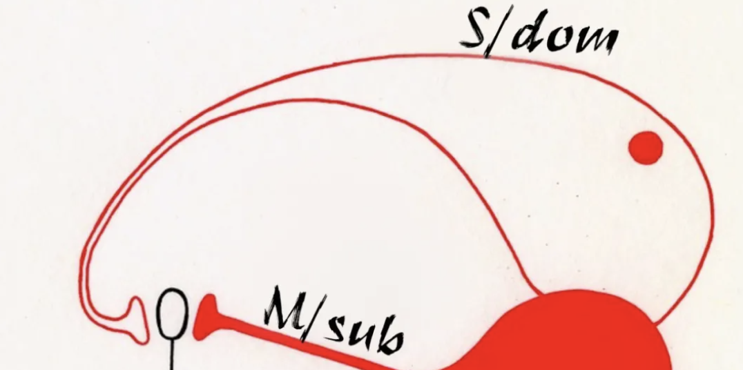 字母圈BDSM新人完全指南 字母圈BDSM新人完全指南