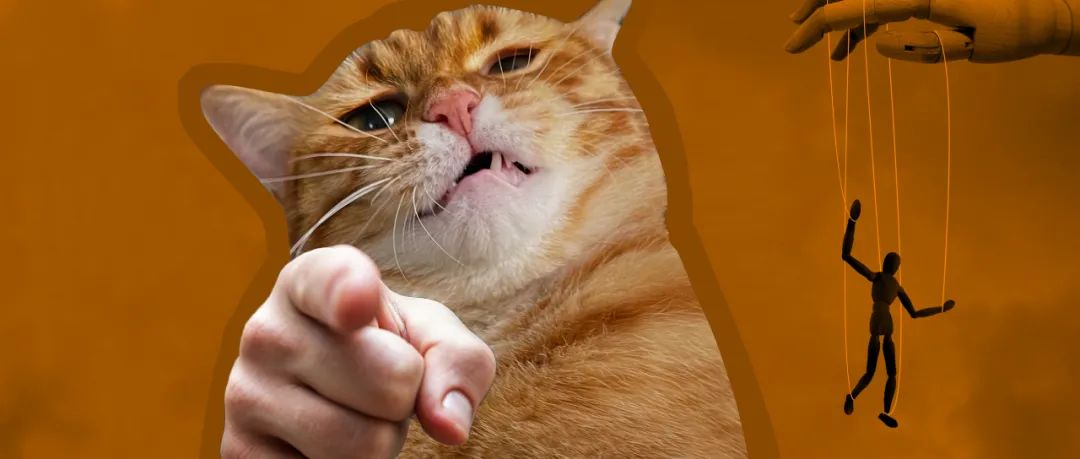 字母圈BDSM新人完全指南 字母圈BDSM新人完全指南