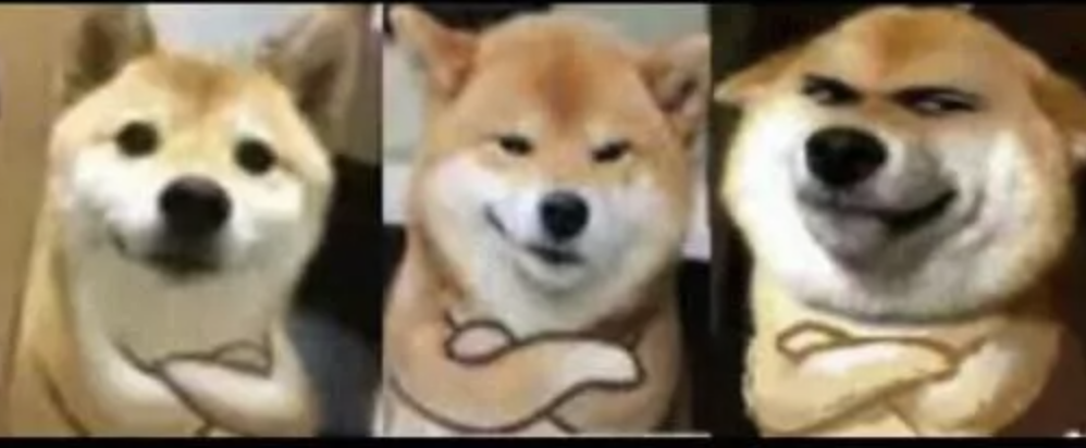 字母圈BDSM新人完全指南 字母圈BDSM新人完全指南