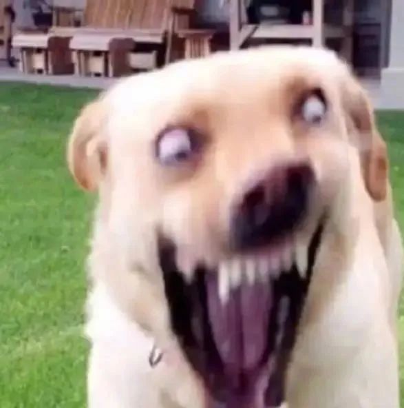 字母圈认真地谈谈BDSM 字母圈认真地谈谈BDSM