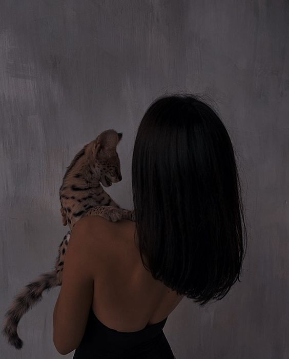 为什么你会被情感无能的伴侣吸引 为什么你会被情感无能的伴侣吸引