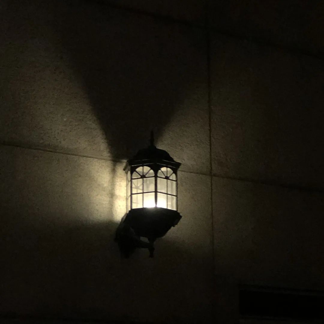 我从街边捡了条···小狗一样的男孩子 (一) 我从街边捡了条···小狗一样的男孩子 (一)