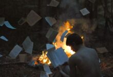 字母圈认主之后可以干什么-瘾欢