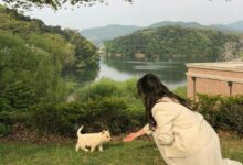 如何看自己是不是属于及适合字母圈？-瘾欢