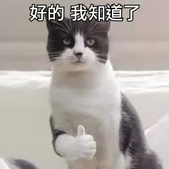 字母圈当我拒绝耳光后,她却说我太自私了 字母圈当我拒绝耳光后,她却说我太自私了