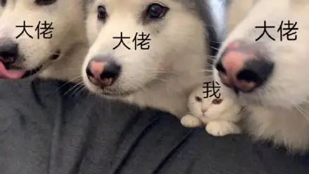 字母圈完全给你讲明白“性”与“权力”的关系 字母圈完全给你讲明白“性”与“权力”的关系