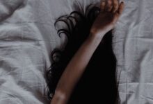 驯养的意义-瘾欢