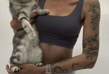 字母圈设计管教惩罚的方式-瘾欢