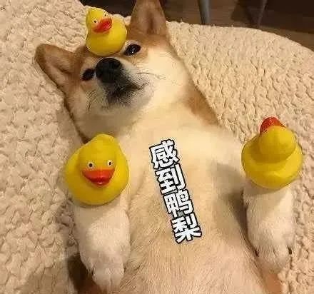 字母圈当我拒绝耳光后,她却说我太自私了 字母圈当我拒绝耳光后,她却说我太自私了