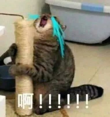 字母圈当我拒绝耳光后,她却说我太自私了 字母圈当我拒绝耳光后,她却说我太自私了