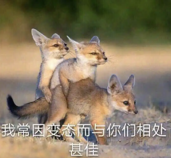 字母圈完全给你讲明白“性”与“权力”的关系 字母圈完全给你讲明白“性”与“权力”的关系