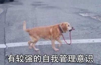 字母圈求解求知求启发 大圈小圈的区别到底在哪呢 字母圈求解求知求启发 大圈小圈的区别到底在哪呢