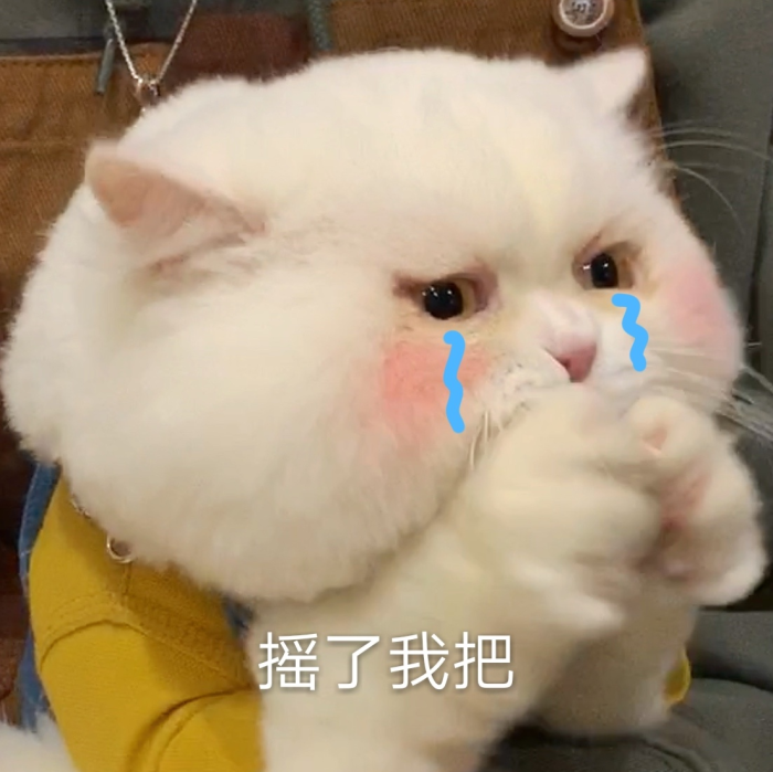 字母圈完全给你讲明白“性”与“权力”的关系 字母圈完全给你讲明白“性”与“权力”的关系