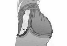 字母圈详细科普“24/7”:老“任务达人”了-瘾欢