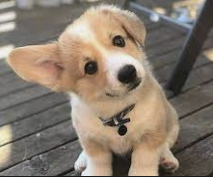 字母圈M有以下表现,可能才真的对你来电~ 字母圈M有以下表现,可能才真的对你来电~