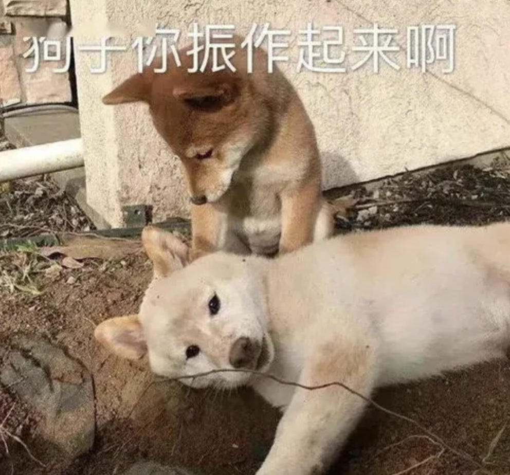 字母圈M有以下表现,可能才真的对你来电~ 字母圈M有以下表现,可能才真的对你来电~