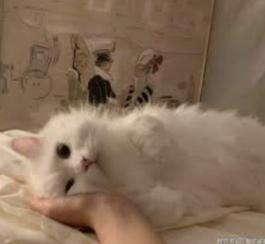 字母圈M有以下表现,可能才真的对你来电~ 字母圈M有以下表现,可能才真的对你来电~