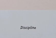 字母圈论“Discipline”:纪律为何变得性感?-瘾欢