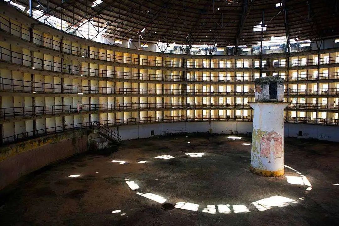 字母圈论“Discipline”：纪律为何变得性感？