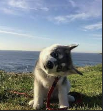 字母圈M有以下表现,可能才真的对你来电~ 字母圈M有以下表现,可能才真的对你来电~