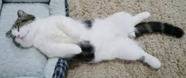 字母圈M有以下表现,可能才真的对你来电~ 字母圈M有以下表现,可能才真的对你来电~