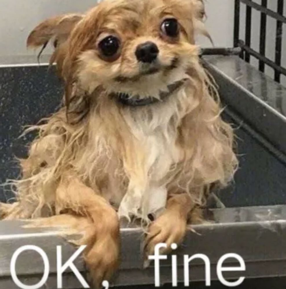 字母圈M有以下表现,可能才真的对你来电~ 字母圈M有以下表现,可能才真的对你来电~