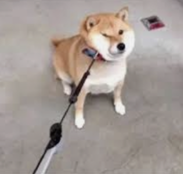 字母圈M有以下表现,可能才真的对你来电~ 字母圈M有以下表现,可能才真的对你来电~