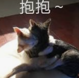 字母圈M有以下表现,可能才真的对你来电~ 字母圈M有以下表现,可能才真的对你来电~