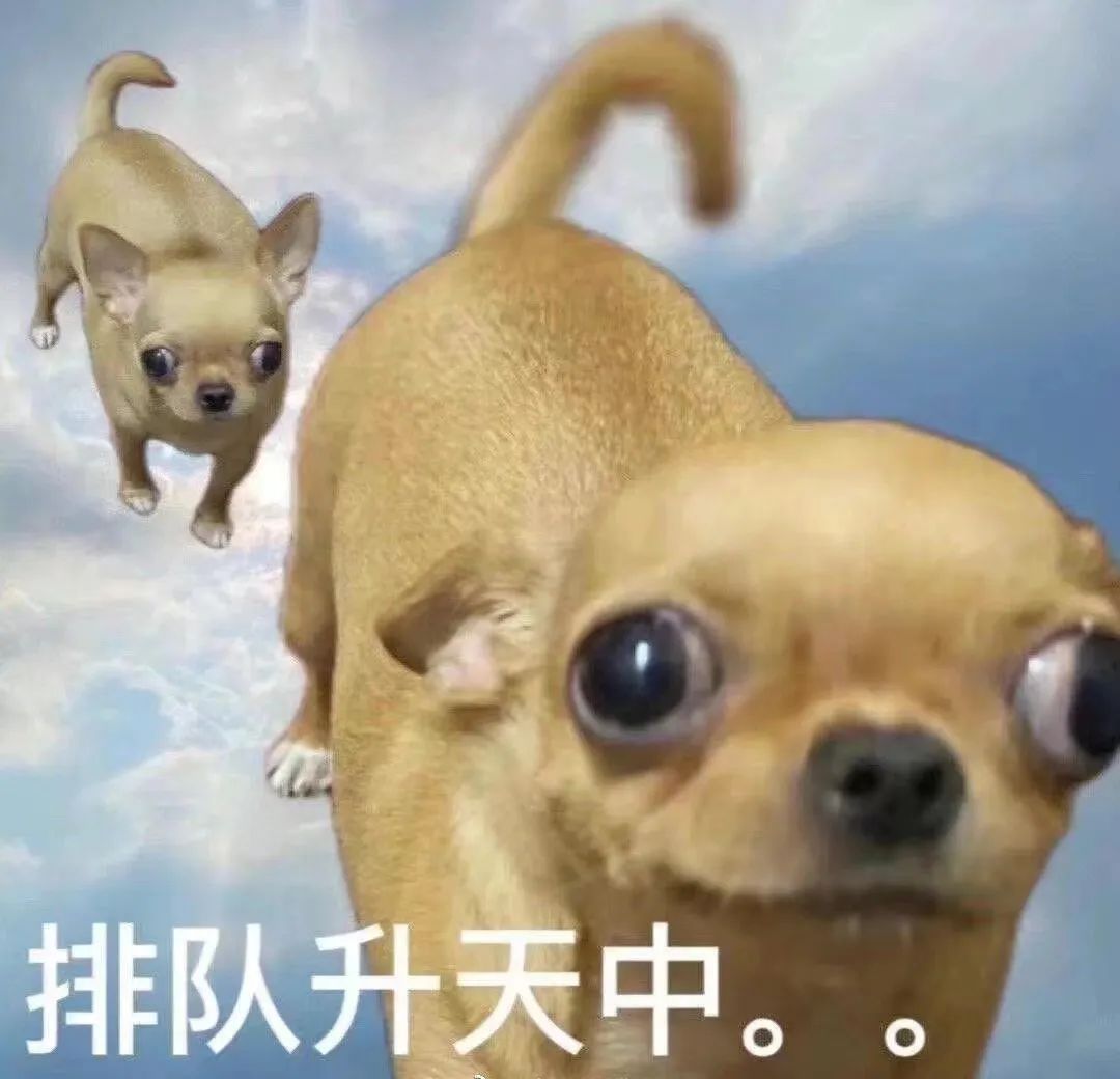 字母圈圈内奔现之前,如果聊天中有这种不靠谱的细节,一定别去见ta! 字母圈圈内奔现之前,如果聊天中有这种不靠谱的细节,一定别去见ta!