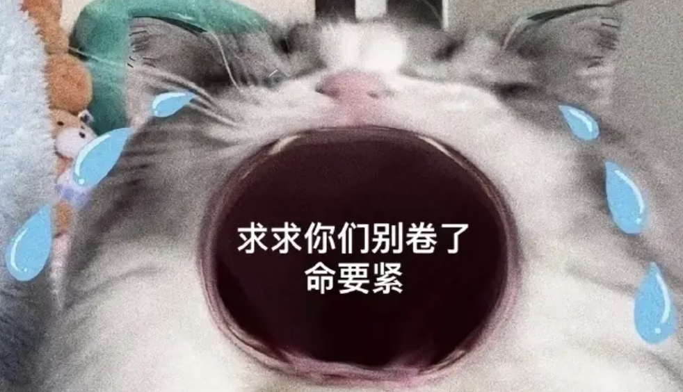 字母圈舔 靴 达 人 ?! 字母圈舔 靴 达 人 ?!