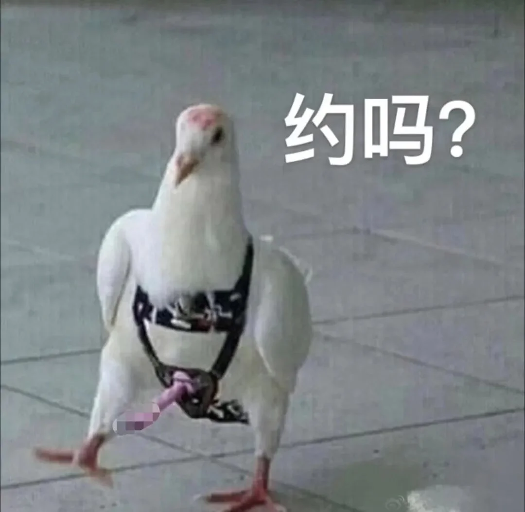 字母圈BBW(Big Beautiful Woman)大码身材迷恋的是与非 字母圈BBW(Big Beautiful Woman)大码身材迷恋的是与非