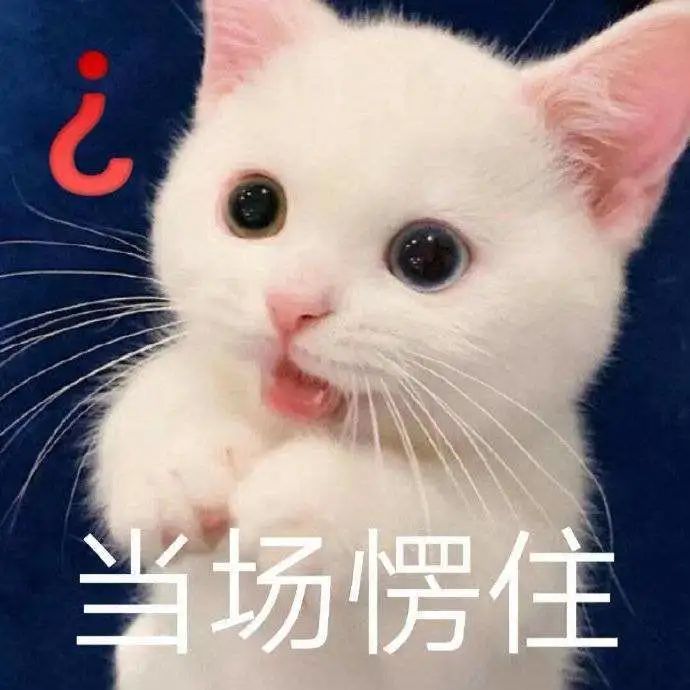 字母圈舔 靴 达 人 ?! 字母圈舔 靴 达 人 ?!