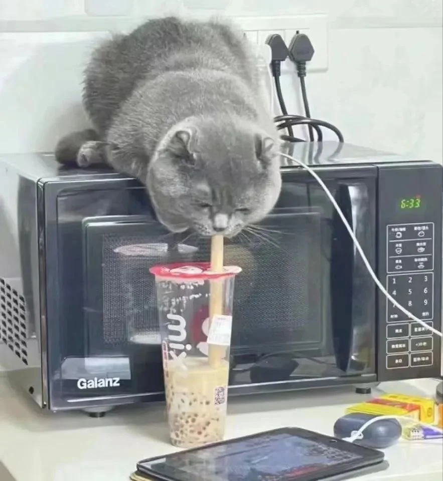 字母圈BBW(Big Beautiful Woman)大码身材迷恋的是与非 字母圈BBW(Big Beautiful Woman)大码身材迷恋的是与非