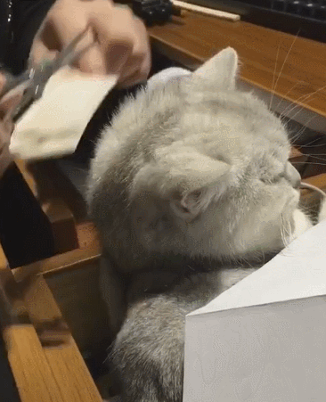 字母圈世间纷纷扰扰,我只想永远做你的“宝宝”【AgeRe是什么?】 字母圈世间纷纷扰扰,我只想永远做你的“宝宝”【AgeRe是什么?】