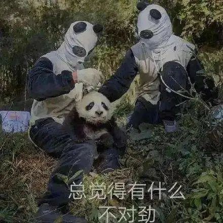 字母圈BDSM何时会越界成为虐待和暴力? 字母圈BDSM何时会越界成为虐待和暴力?