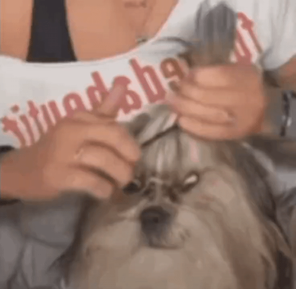 字母圈世间纷纷扰扰,我只想永远做你的“宝宝”【AgeRe是什么?】 字母圈世间纷纷扰扰,我只想永远做你的“宝宝”【AgeRe是什么?】