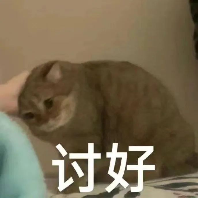 字母圈世间纷纷扰扰,我只想永远做你的“宝宝”【AgeRe是什么?】 字母圈世间纷纷扰扰,我只想永远做你的“宝宝”【AgeRe是什么?】