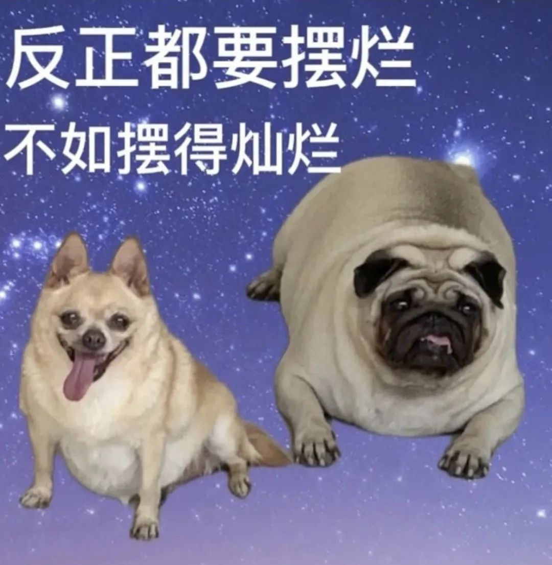 字母圈“妈系sub”——白骑士?or 大冤种? 字母圈“妈系sub”——白骑士?or 大冤种?