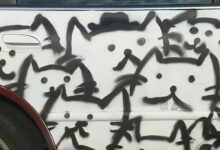 字母圈Mia,现在过来!(M/F)-瘾欢