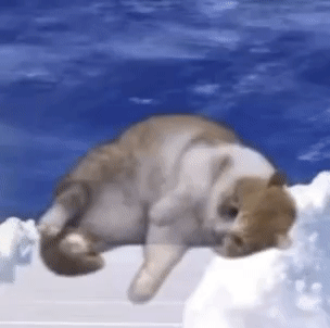 字母圈“妈系sub”——白骑士?or 大冤种? 字母圈“妈系sub”——白骑士?or 大冤种?