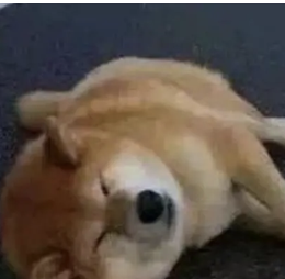 字母圈恋jio,嘴会不会被感染脚气? 字母圈恋jio,嘴会不会被感染脚气?