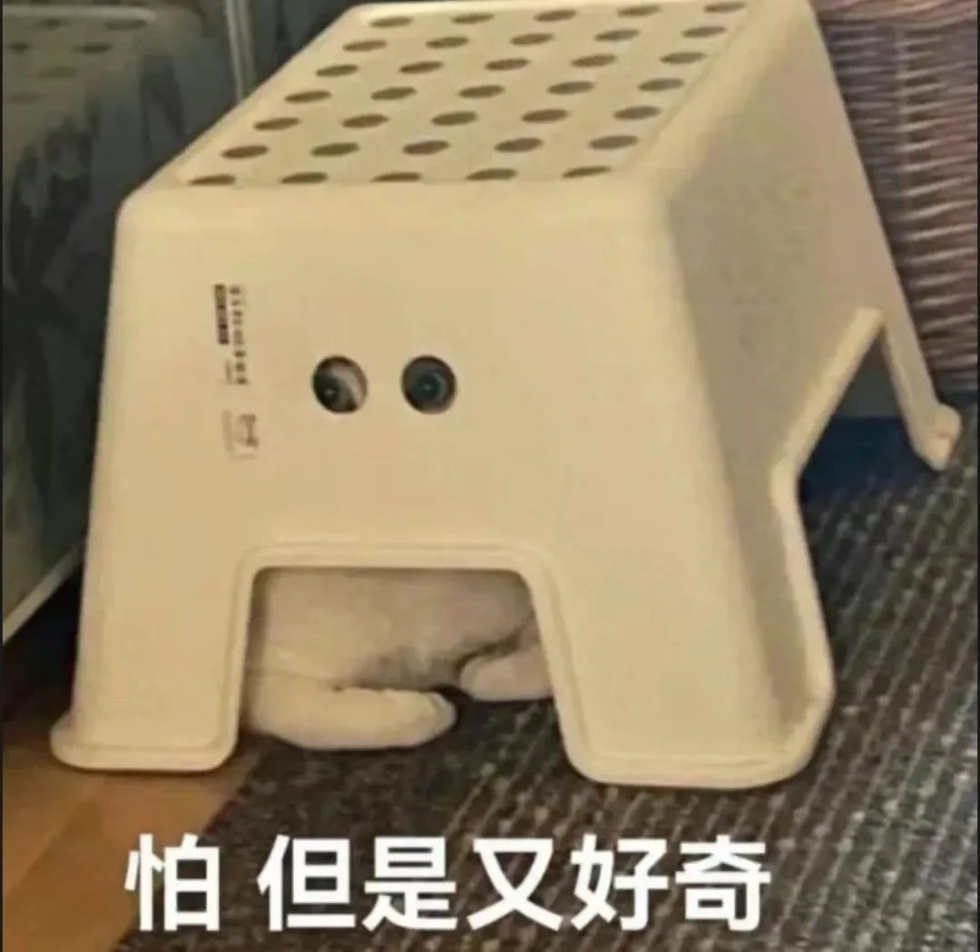 字母圈“反差就是性张力的钥匙” 字母圈“反差就是性张力的钥匙”