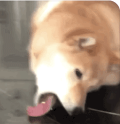 字母圈恋jio,嘴会不会被感染脚气? 字母圈恋jio,嘴会不会被感染脚气?