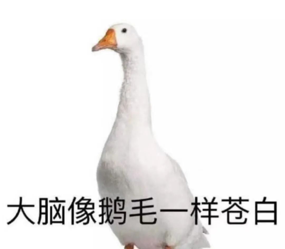 字母圈“反差就是性张力的钥匙” 字母圈“反差就是性张力的钥匙”