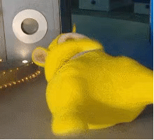 字母圈主人的脚脚只能用来舔嘛？