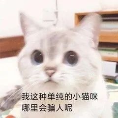 字母圈s/dom要我拍luo照做任务返图我应该去做吗? 字母圈s/dom要我拍luo照做任务返图我应该去做吗?
