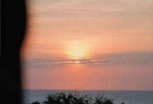 字母圈为什么很难遇到理想的Dom-瘾欢